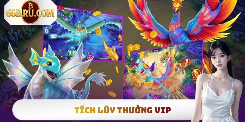 Tích lũy thưởng VIP